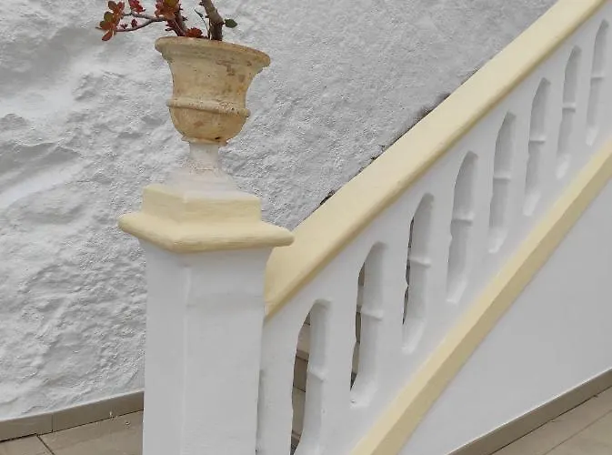 Amano Maison Carree アライオル